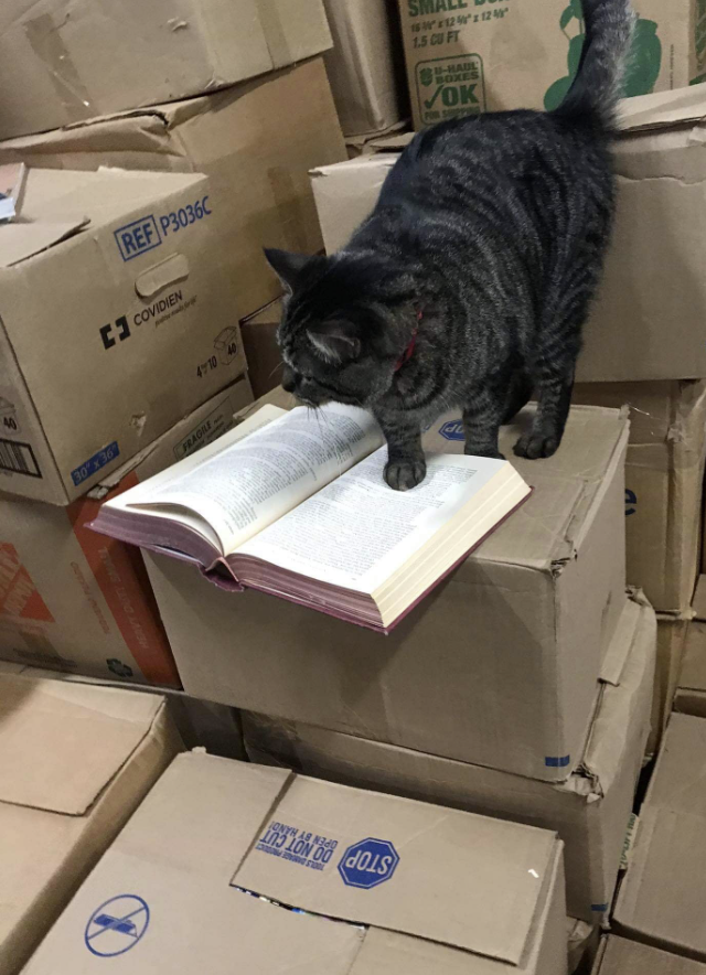 where to donate books baltimore