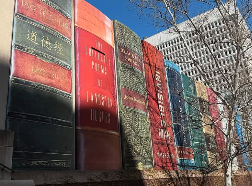 libraries that look like books