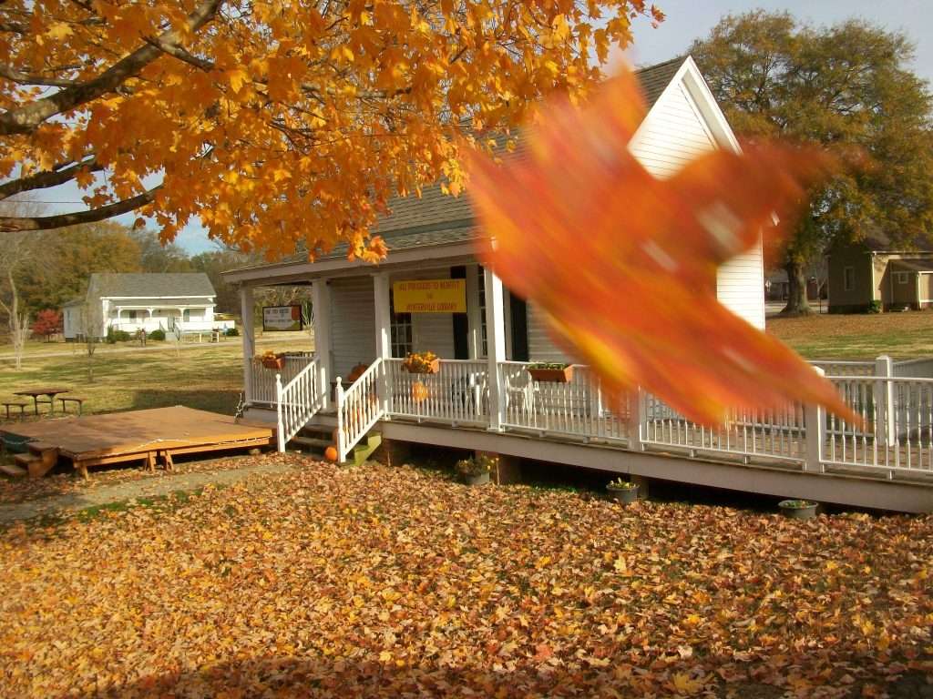 winterville library